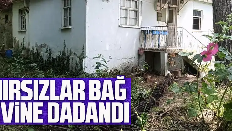 Hırsızlar bağ evine dadandı: Önce antika tüfek, şimdi de televizyon çalındı