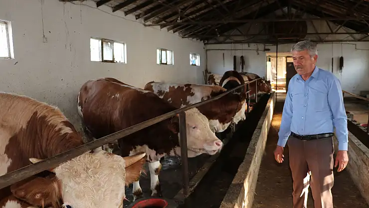 Kurbanlık satışları hızlandı