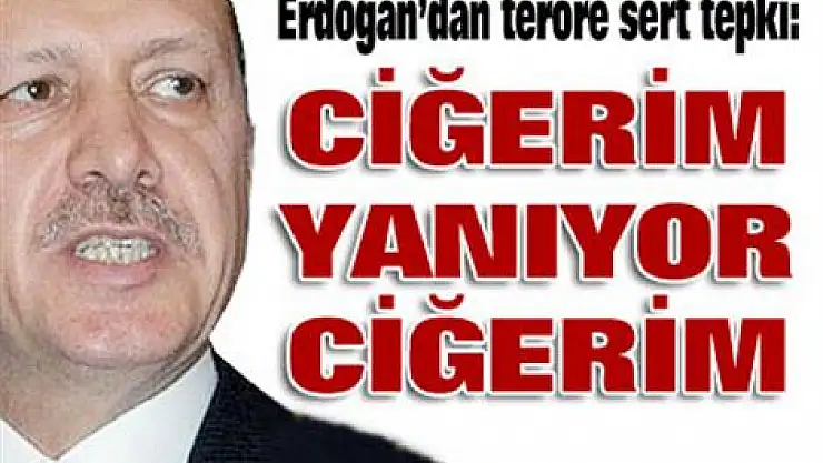 'Ciğerim yanıyor ciğerim'