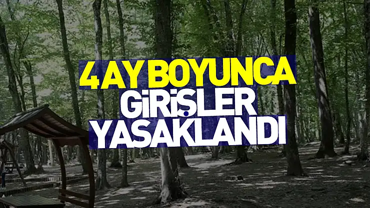 Samsun'da 4 ay boyunca ormanlık alanlara girişler yasaklandı