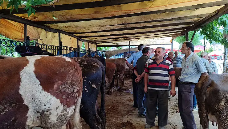 Salıpazarı'nda kurbanlıklar sahiplerini bekliyor