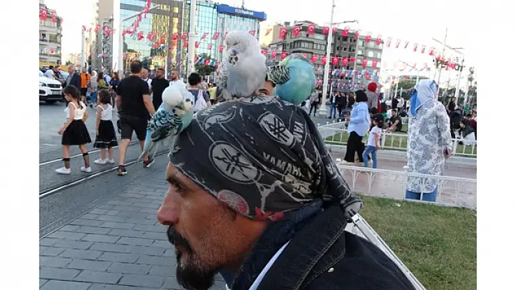 Başında gezdirdiği 3 muhabbet kuşuyla Taksim'de ilgi odağı oldu