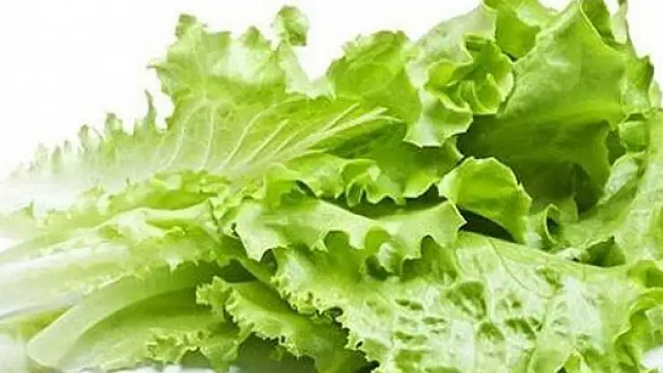 İstanbul'da Haziran ayında en çok kıvırcık salata pahalandı