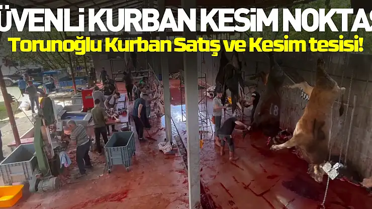 Güvenli Kurban Kesim Noktası  Torunoğlu Kurban Satış ve Kesim tesisi!