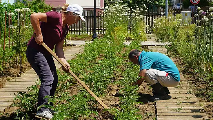 AtaTohum'da yazlık fideler toprakla buluştu