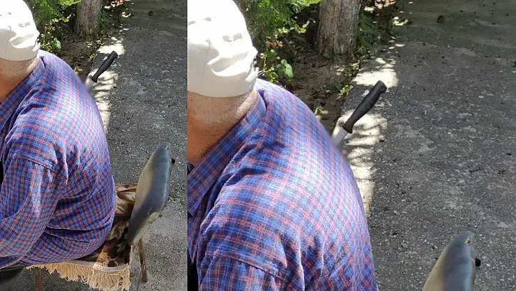 Afyonkarahisar'da dehşete düşüren fotoğraf