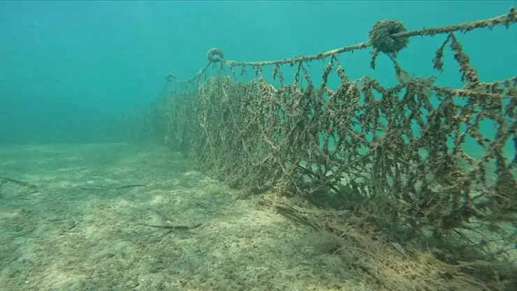 Hayalet ağların endemik deniz canlılarına verdiği zarar akademik çalışmayla ortaya çıktı