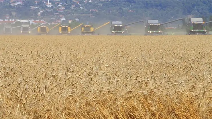 Türkiye'de 5 yılda devlet destekli tarım sigortalarında en fazla ödeme 'dolu' hasarlarına yapıldı