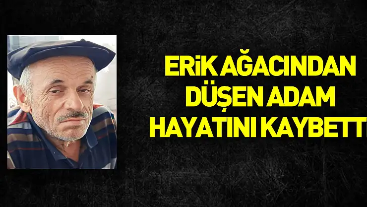 Erik ağacından düşen yaşlı adam hayatını kaybetti
