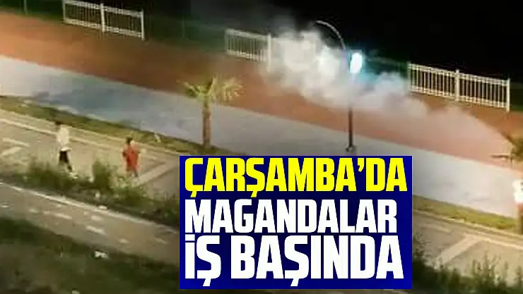 Çarşamba'da Magandalar iş Başında