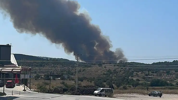 Milas'ta orman yangını başladı
