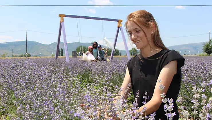 'Süpürge mi dikiyorsun?' diyenlere inat lavanta yetiştirdi