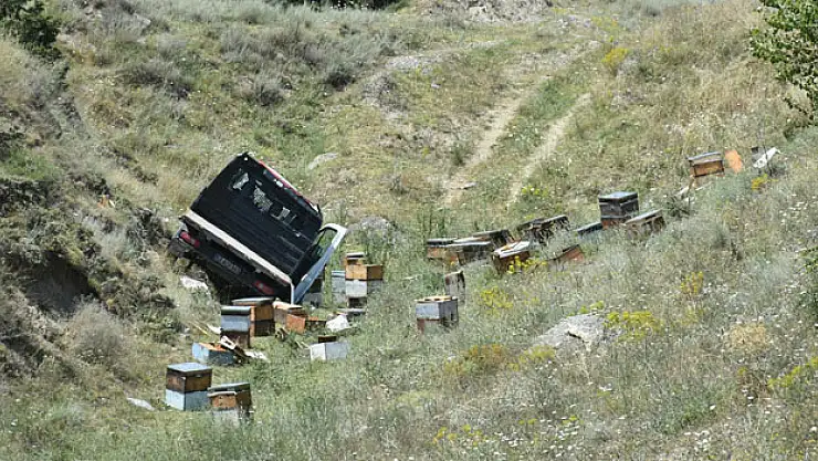 D100'de arı kovanı yüklü kamyon devrildi: 1 kişi yaralandı, arılar telef oldu