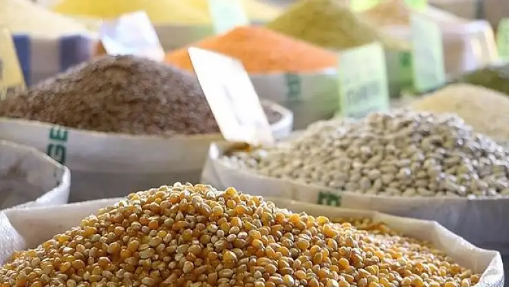 Türkiye'nin yılın ilk yarısındaki hububat ve bakliyat ihracatı 5 milyar doları aştı