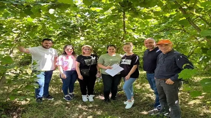 Fındık rekoltesi doğuda düşüyor, batıda yükseliyor