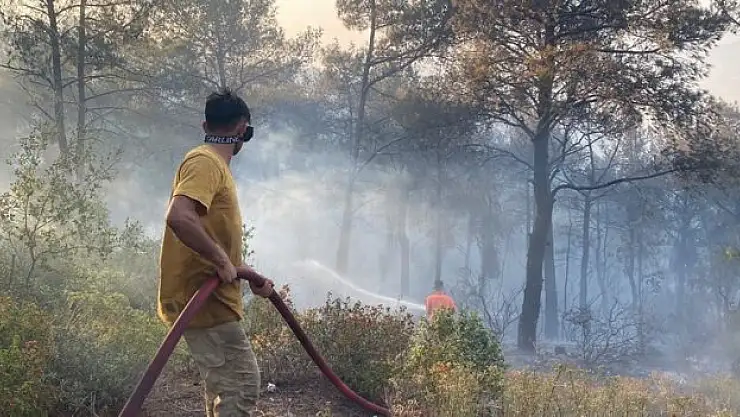 Orman yangınlarına neden oldukları gerekçesiyle bir haftada 7 şüpheli gözaltına alındı