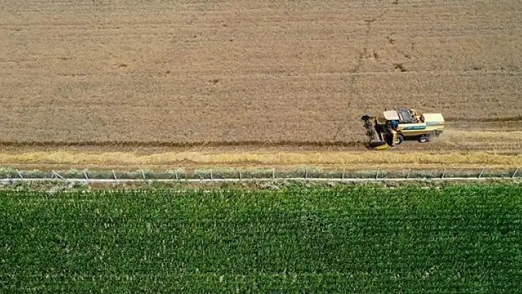 Tarım sektöründen ihracatta ilk yarı rekoru