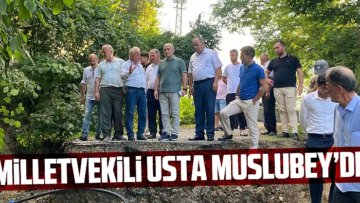 Milletvekili Usta, Muslubey'de