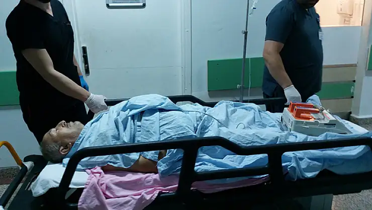 Sokak kedilerini kovduğu için bıçaklı saldırıda ağır yaralandı