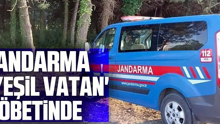 Jandarma 'yeşil vatan' nöbetinde