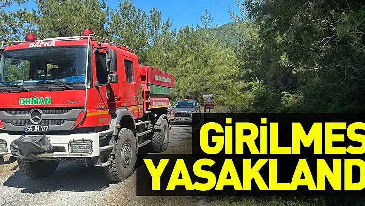 Bafra'da ormanlık alanlara girilmesi yasaklandı