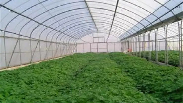 Hastalıkla Mücadeleye Devam