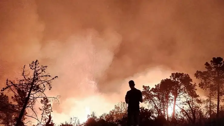 Türkiye, Cezayir'e yangınlar nedeniyle ölenler için başsağlığı diledi