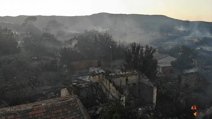 Manisa'daki orman yangınında 14 ev ve 3 ahır kül oldu