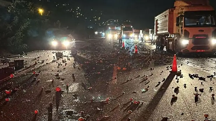 Sebze ve meyve yüklü kamyonetle tır çarpıştı, ortalık savaş alanına döndü