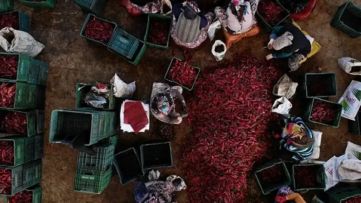 KOOP-DES'te kadın kooperatiflerine yönelik hibe tutarları güncellendi