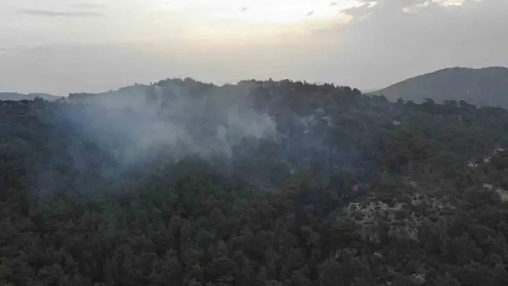Çanakkale'deki orman yangınına günün ilk ışıklarıyla hava müdahalesi başladı