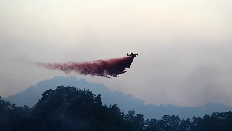 3 gündür yangını izleyen vatandaş: 'Adamlar denizi dağa taşıdı'