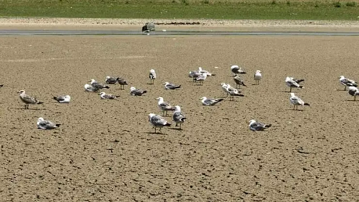 Sıcak havanın etkisini sürdürdüğü İstanbul'daki barajlarda son durum