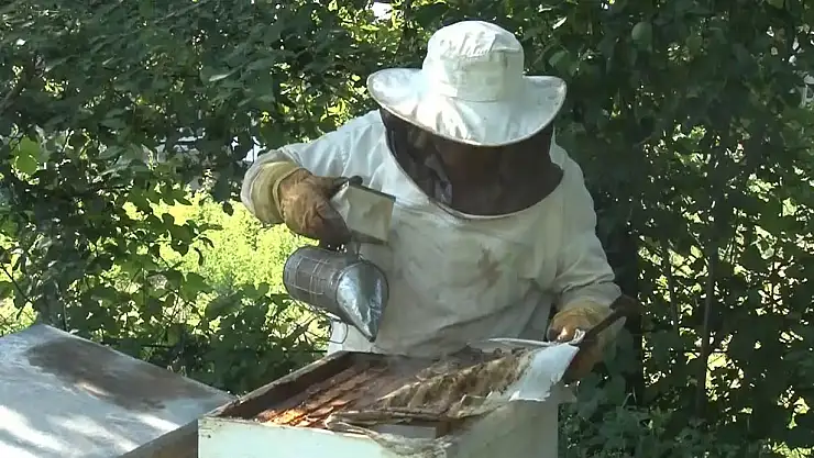 Bal üretiminde dünyada ikinci sıradayız