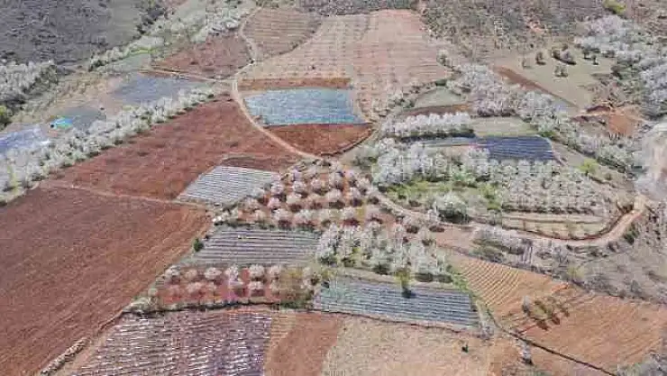 Adana Büyükşehir'den üreticiye destek