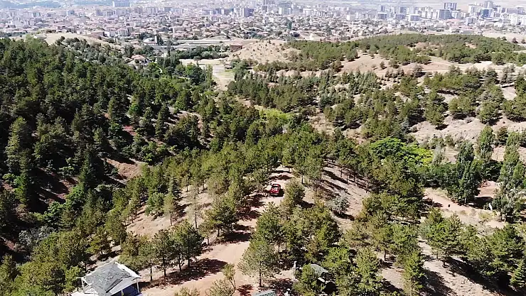 Keskin gözler yeşil doğanın üzerinde: Bin 760 rakımlı zirvede yangın nöbeti tutuyorlar