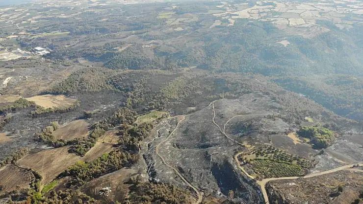 Çanakkale'deki orman yangınlarında 3 bin 500 futbol sahası büyüklüğünde alan yandı