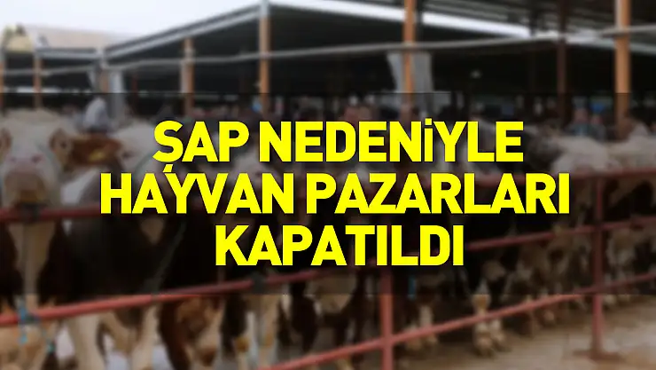 Samsun'da şap nedeniyle hayvan pazarları kapatıldı