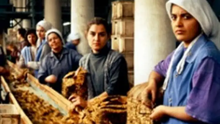 Torba Yasa, kadın işçinin yüzünü güldürecek