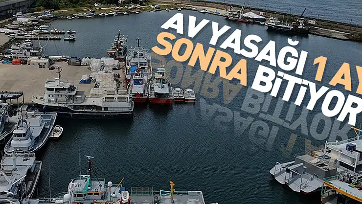 Denizlerde balık avı yasağı 1 ay sonra bitiyor