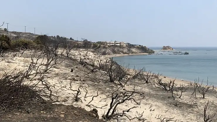 Küresel ısınma kaynaklı aşırı sıcaklar, turizm sektörü dinamiklerini kalıcı olarak değiştirebilir