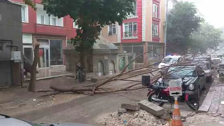 Sağanak yağış yolları göle çevirdi, ağaçları devirdi