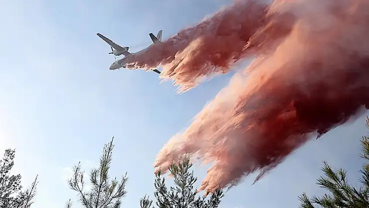 Orman yangınlarına müdahalede etkinlik 'erken uyarı' sistemiyle arttı