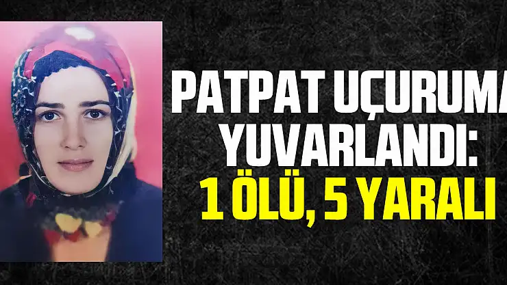 Köpeğe çarpan patpat uçuruma yuvarlandı: 1 ölü, 5 yaralı