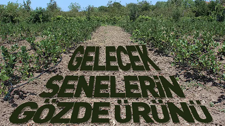 Gelecek Senelerin Gözde Ürünü