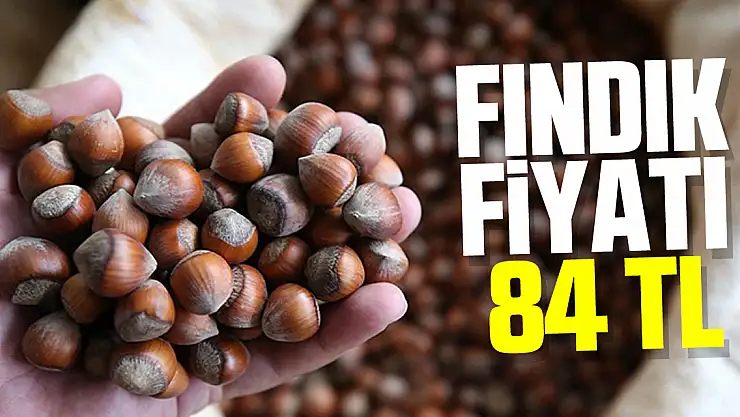 FINDIK FİYATI 84 TL