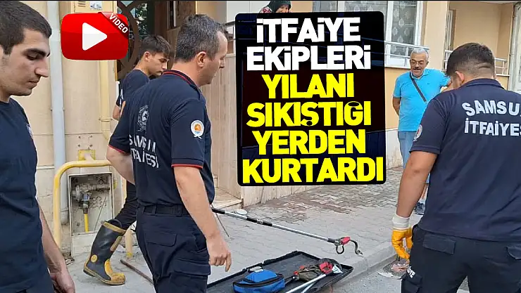 Samsun'da itfaiye ekipleri yılanı sıkıştığı yerden kurtardı