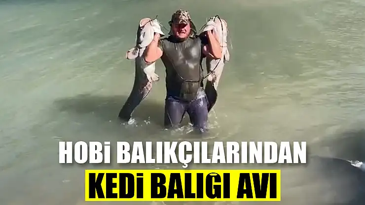 Hobi balıkçılarından olta ile 2 metrelik kedi balığı avı