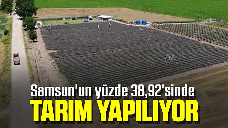 Samsun'un yüzde 38,92'sinde tarım yapılıyor