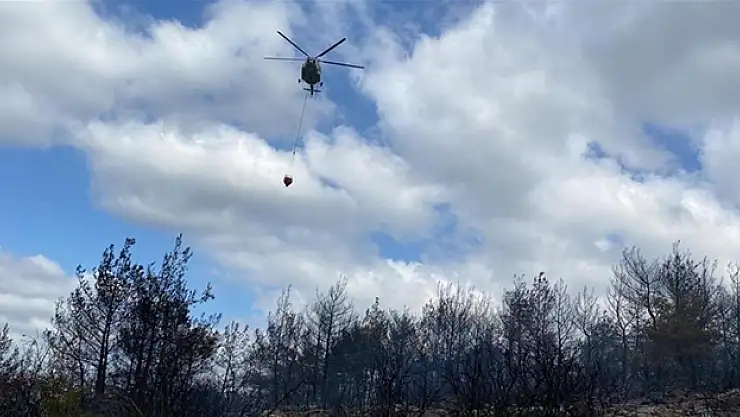 Çanakkale'de çıkan orman yangını kontrol altına alındı